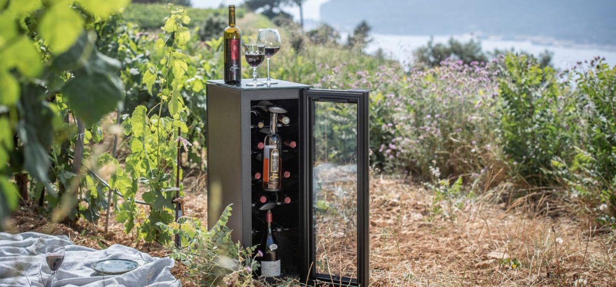 מקרר יין EuroCave Tête à Tête מוצב בטבע בין גפנים, עם נוף לים, בקבוק יין וכוס מוכנים לטעימה באווירה ייחודית.